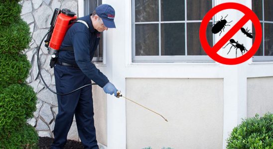 Evciler Akrep İlaçlama böcek ilaçlama ve haşere kontrolü — ilaclama-tr.com